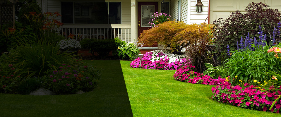 Bahama Landscapers