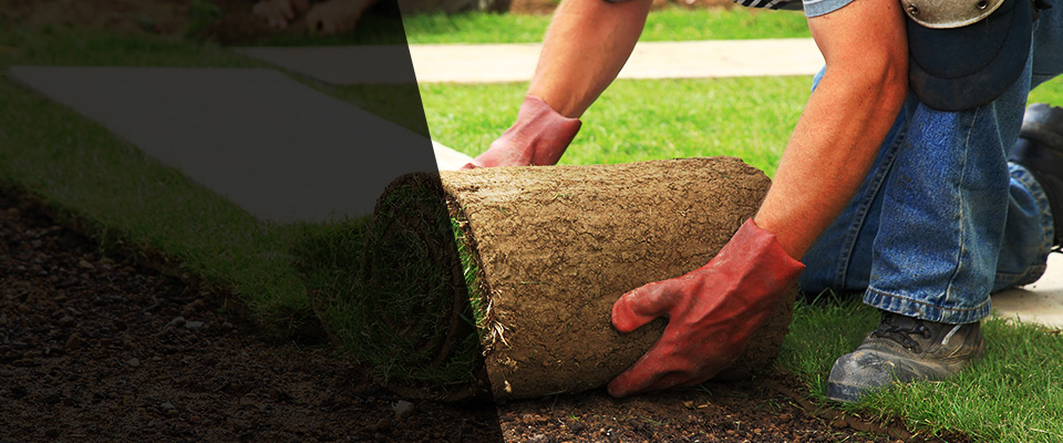 Bahama Landscapers